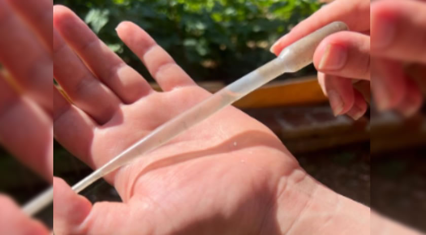 Epidemiologia realiza ação de combate a focos da dengue
