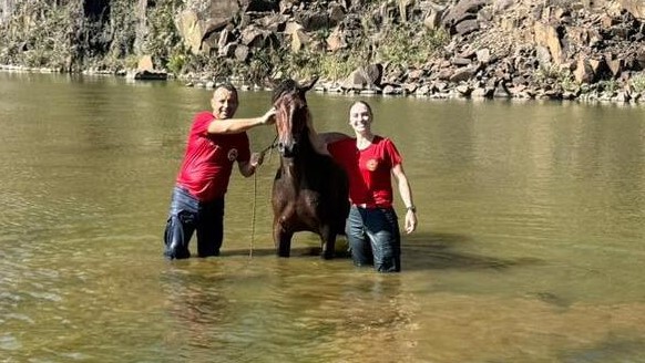 Cavalo é resgatado após ficar preso em açude