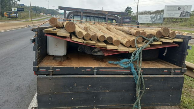 PRF apreende 500 litros de agrotóxicos contrabandeados escondidos sob madeira