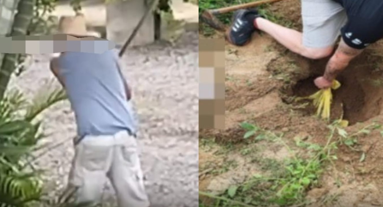 Idoso é preso após matar dois cães a golpes de machado