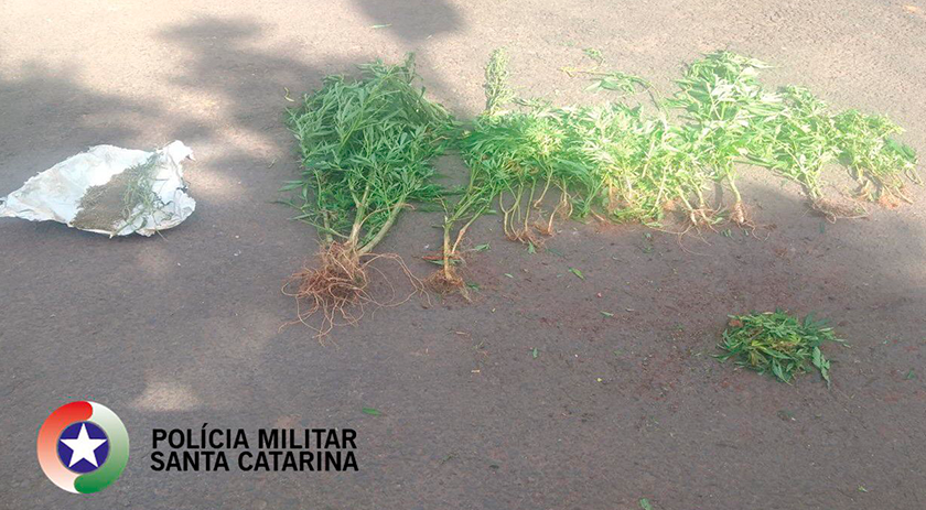 Polícia Militar prende autor de tráfico de drogas no extremo oeste de SC