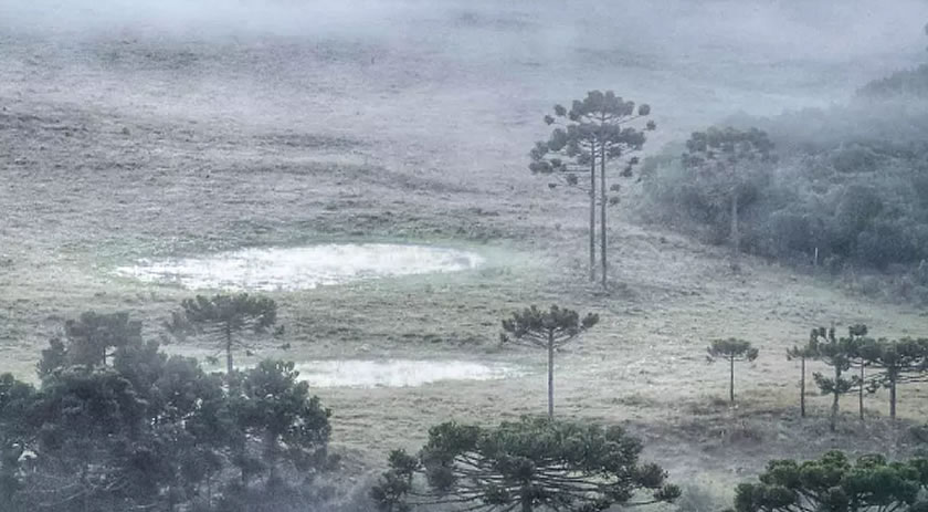 Santa Catarina amanhece com geada e temperaturas abaixo de 5ºC