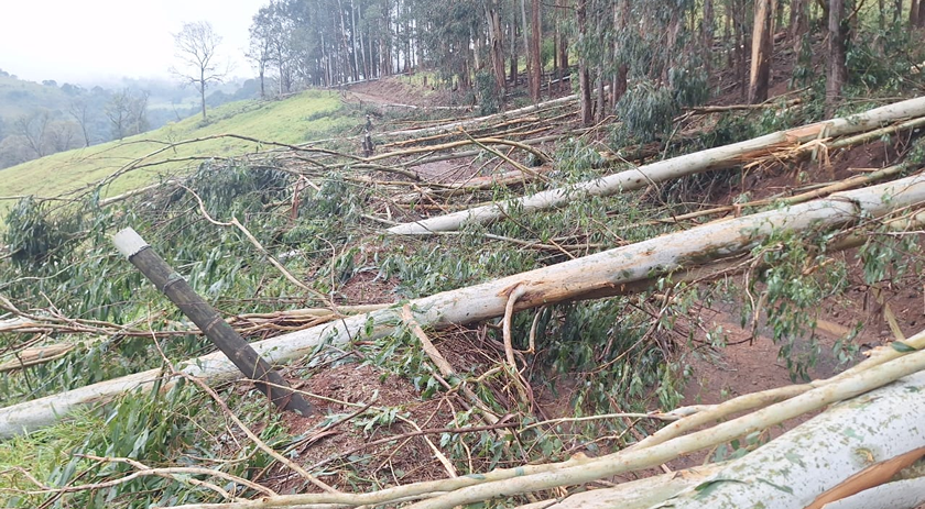 Meteorologista confirma microexplosão durante temporal