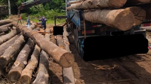 Homem morre ao ser atingido por tora de madeira durante descarregamento de carga