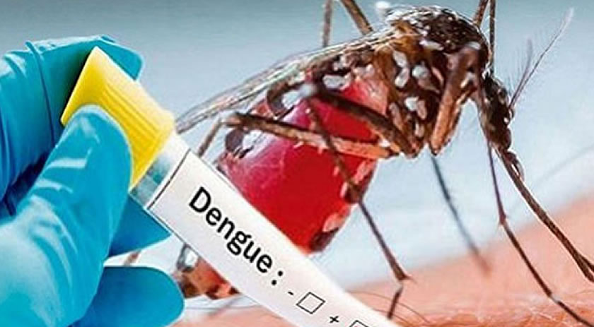 Município confirma primeiro óbito por dengue e 2.348 casos da doença