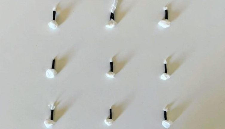 Guarda Municipal flagra tráfico e apreende drogas em ponto crítico de Chapecó