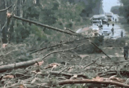 Queda de árvores e destelhamentos são registrados
