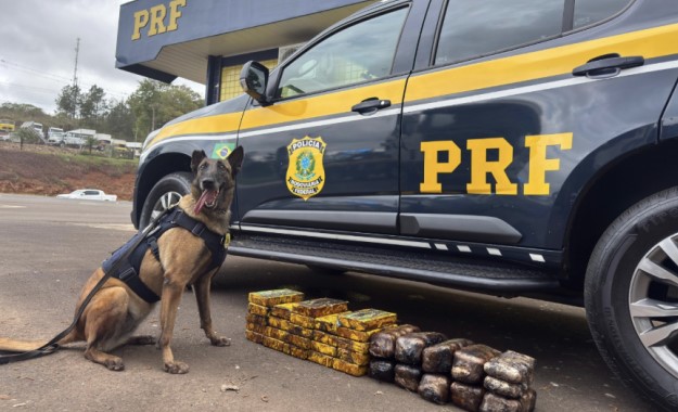 PRF encontra cocaína e haxixe escondidos no catalisador de carreta na BR-282
