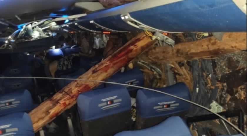 Doze pessoas morrem em acidente entre ônibus, van e caminhão que transportava eucalipto na BR-101