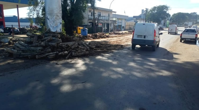 Caminhão derruba carga de madeira nas proximidades do trevo