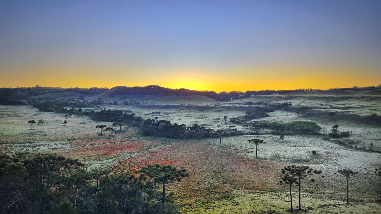 136 dias de geada na Serra Catarinense