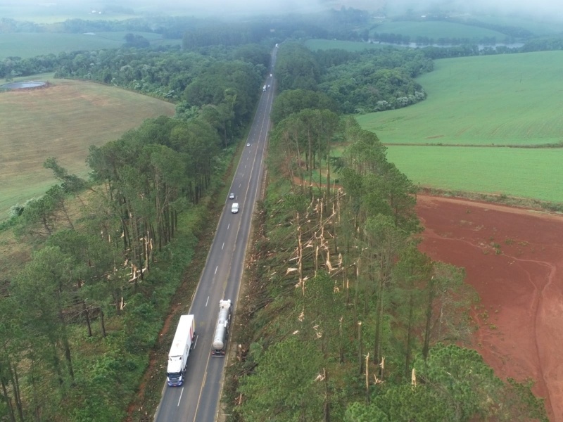 Temporal causa estragos em municípios do Oeste