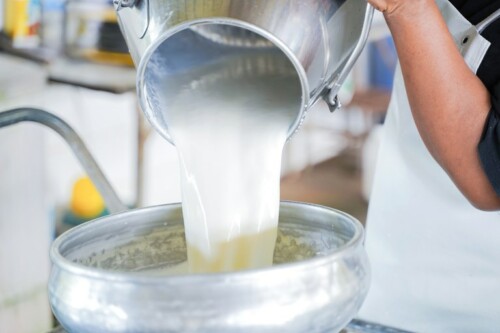 Após medida para frear importações de lácteos, empresas antecipam compras