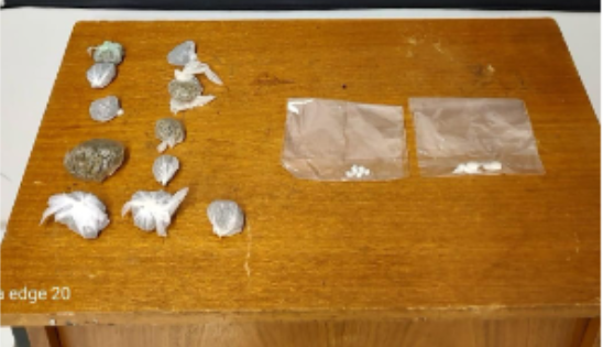 Passageiro de ônibus é preso com drogas