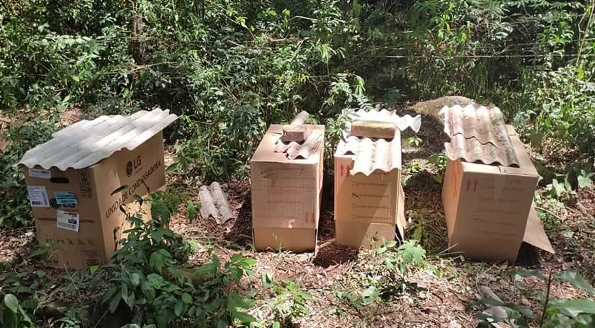 Rinha de galos é denunciada e polícia encontra 27 animais