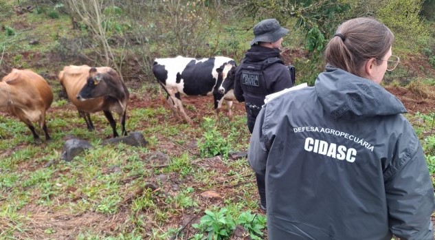 Polícia Civil realiza nova fase da operação "Pasto Seguro" com cumprimento de mandados de busca e apreensão