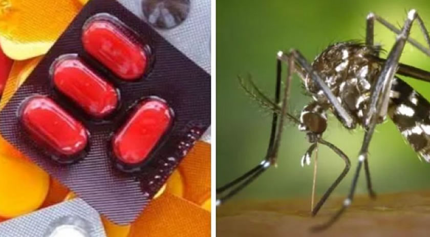 Posso tomar remédios se estiver com dengue? Confira medicamentos contraindicados