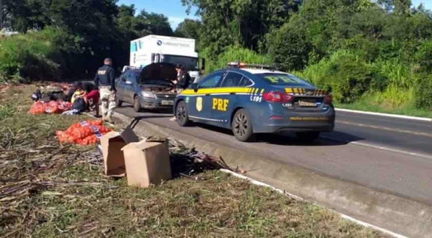 Cebolas caem de caminhão após acidente e história termina mal