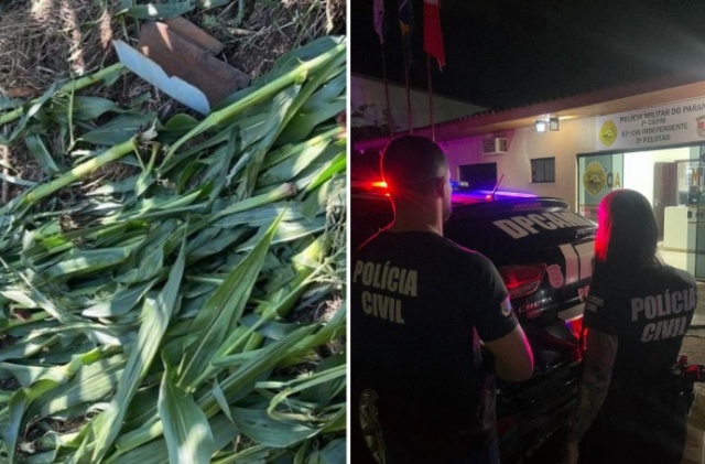 Suspeito de deixar companheira em milharal no Oeste de SC para morrer é preso