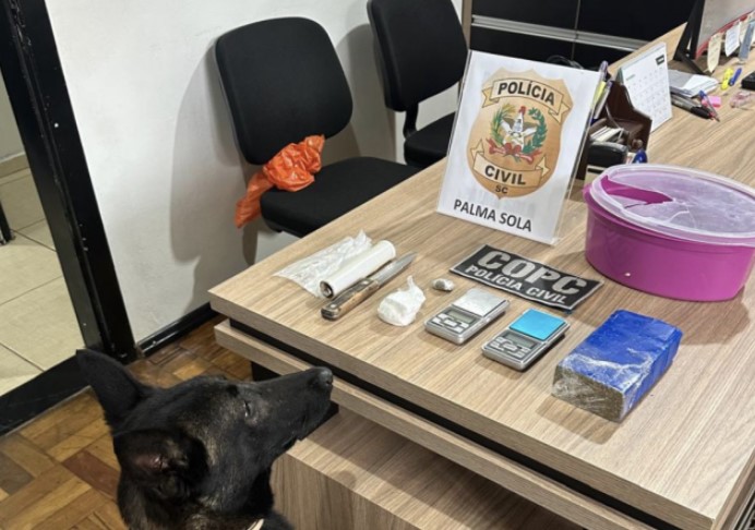 Mulher investigada por tráfico de drogas é presa pela Polícia Civil