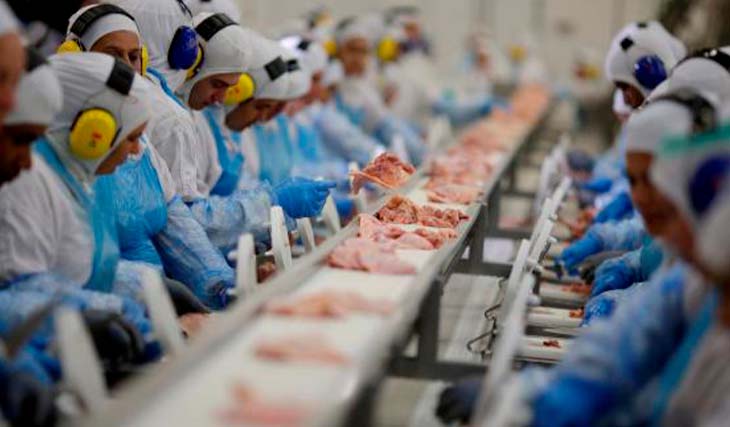 Brasil passa a exportar carne suína para o Peru