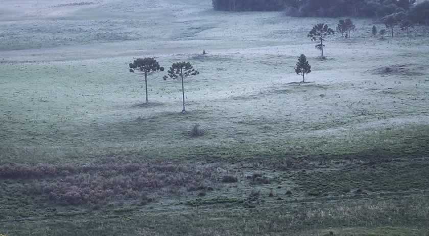 Faltando 12 dias para início do verão, Serra catarinense registra 3ºC ao amanhecer