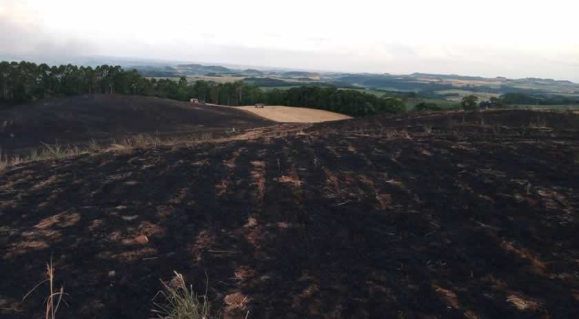 Incêndios florestais de grandes proporções são registrados em 4 municípios catarinenses