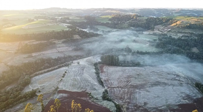 Região Extremo Oeste amanhece com temperaturas negativas e geada espetacular