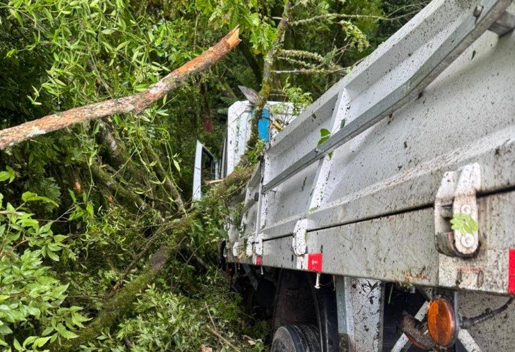 Caminhão sai da pista, cai em ribanceira e deixa feridos na BR-282