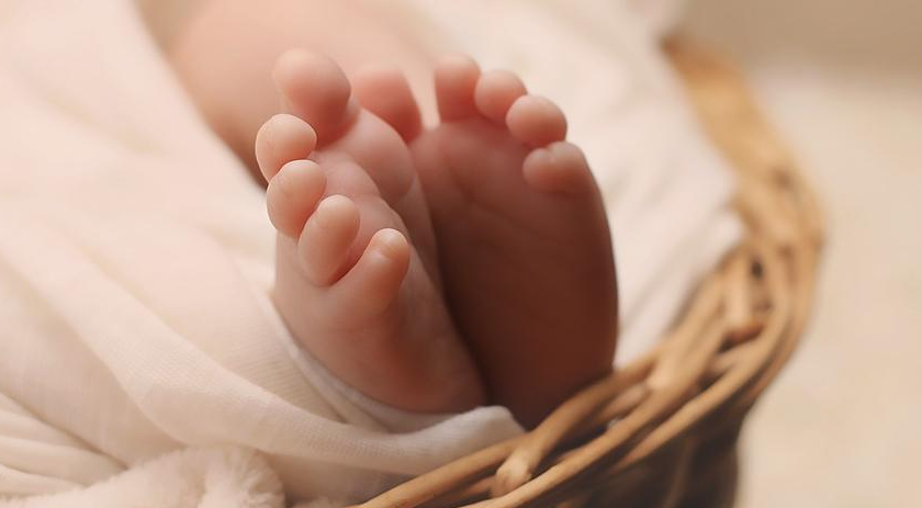 Bebê morre engasgado com ração de cachorro enquanto família passava férias em SC