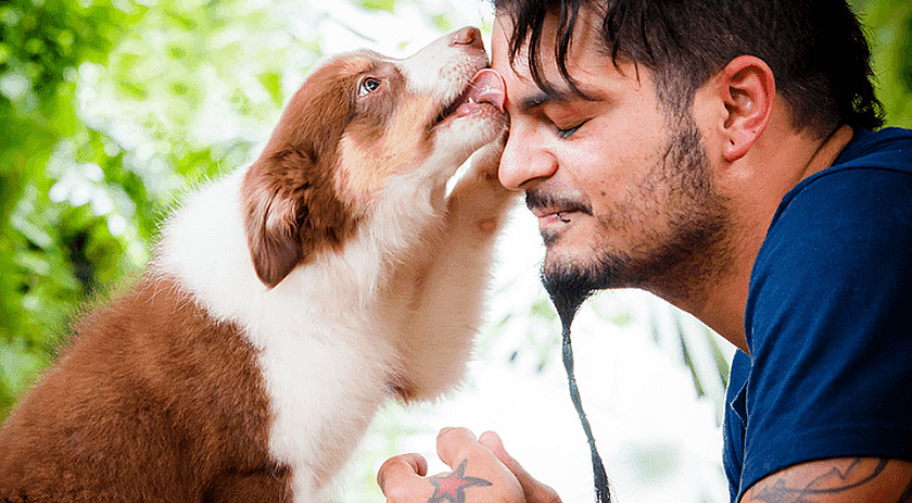 Cães sentem o que donos estão sentindo, comprova estudo