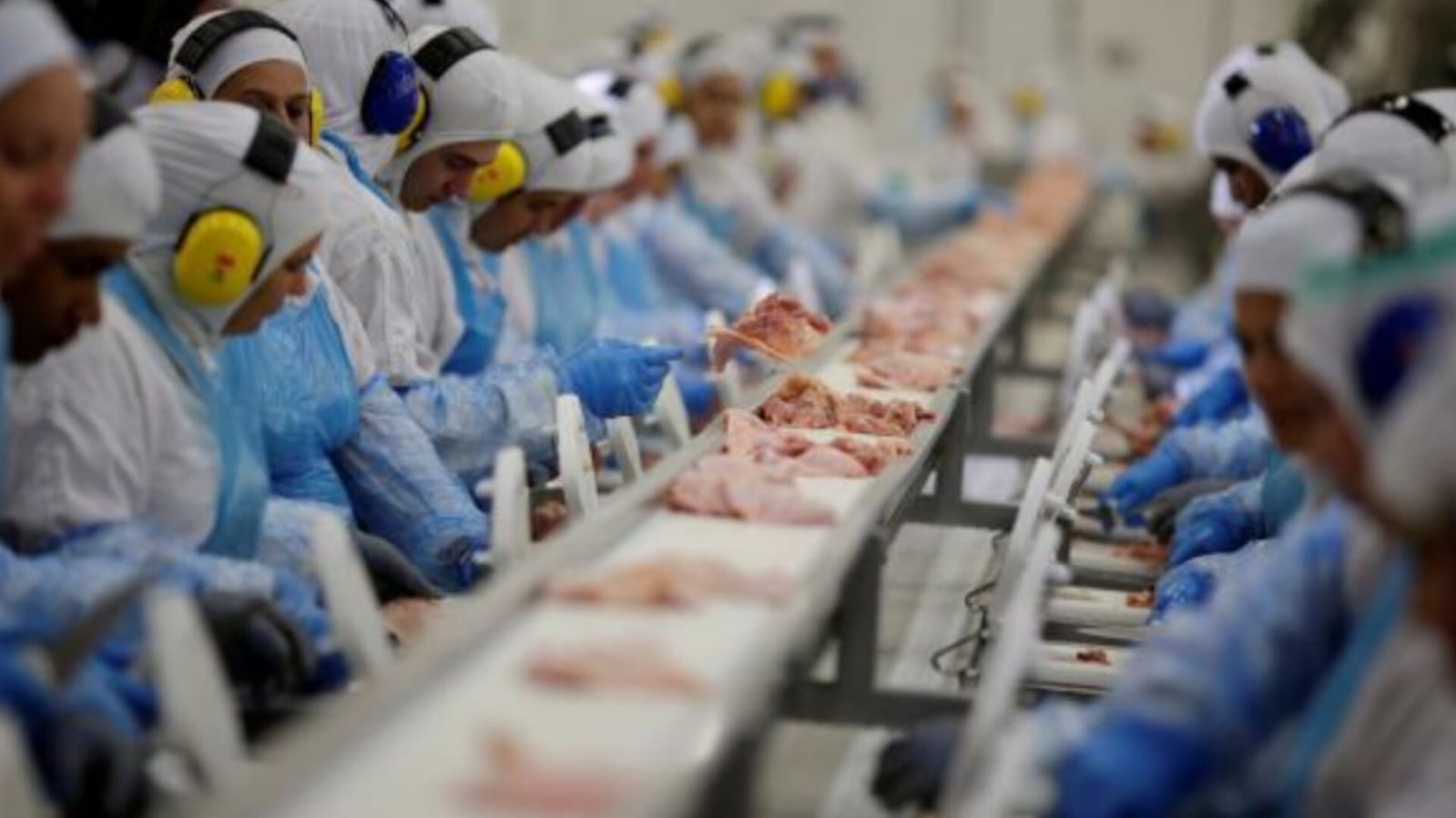 Exportação de carne de Santa Catarina supera receita de US$ 1,6 bilhão