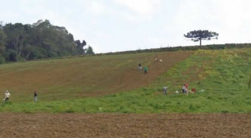 Trabalhadores são encontrados em plantação de cebola  sem salário e comida