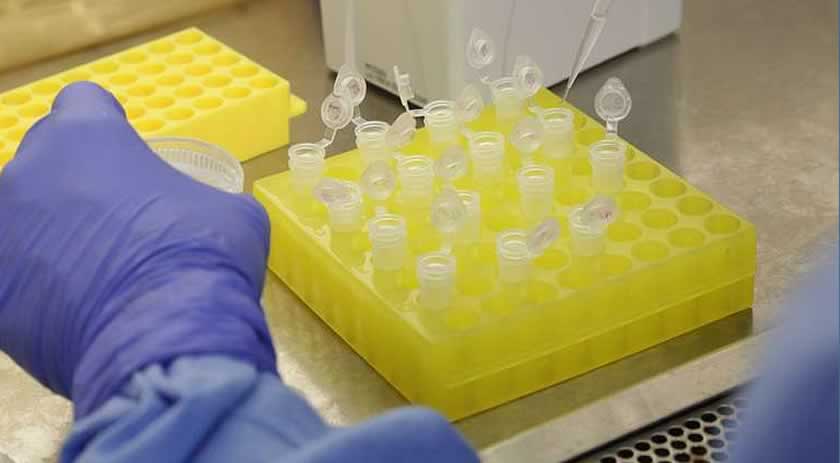 SC confirma 13 novos casos da variante Ômicron; veja números por cidade