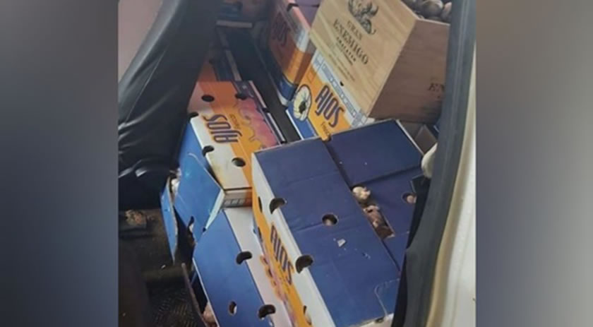 Veículo placas de Descanso carregado com alho argentino é apreendido pela PM