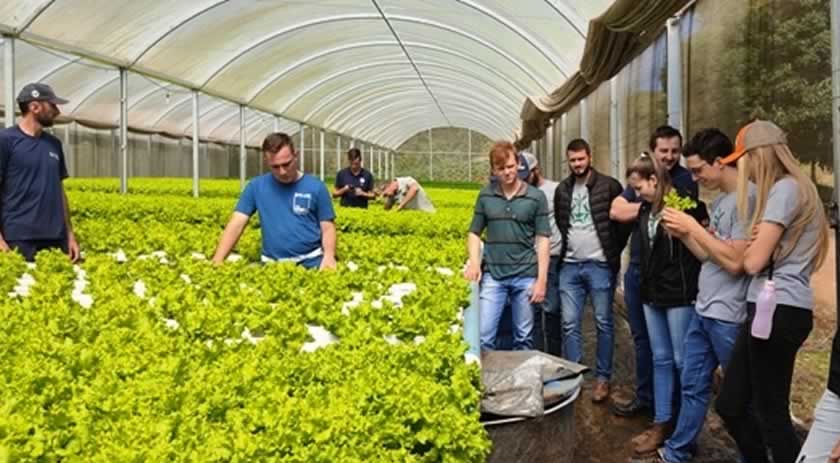 Cultivo de hortaliças é tema de visitas técnicas do Curso de Agronomia da Unoesc