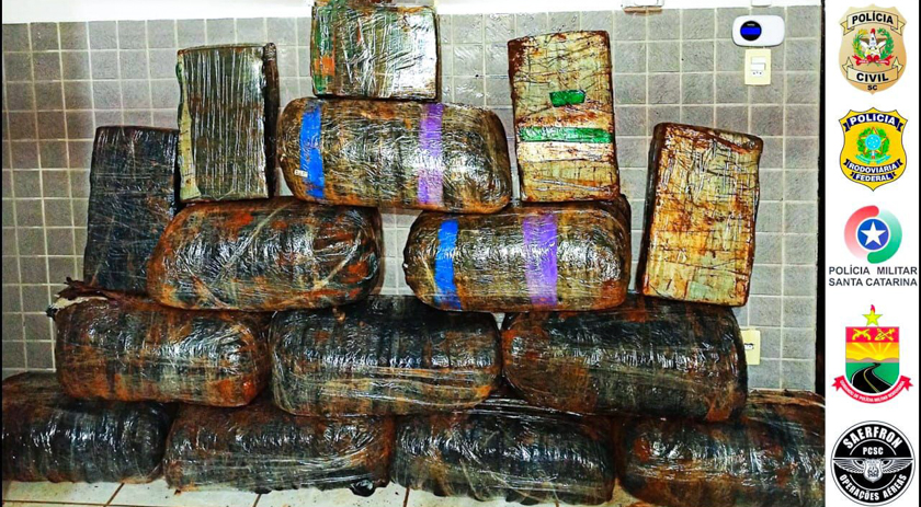 Operação entre PRF, PM, PMRv, PC e SAER apreendem 500 kg de maconha