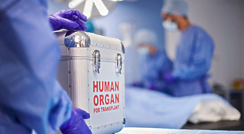Quase 50% dos transplantes de órgãos no Brasil não acontece por recusa de familiares