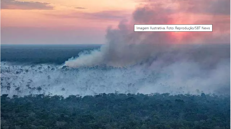 Quando a Amazônia entra em colapso? Novo estudo prevê um prazo