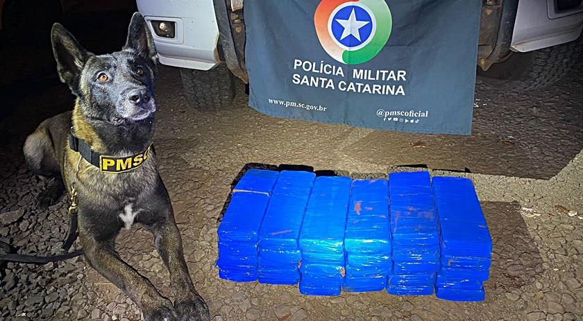 Com a ajuda do cão Zeus, PM apreende mais de 20kg de drogas em ônibus de linha