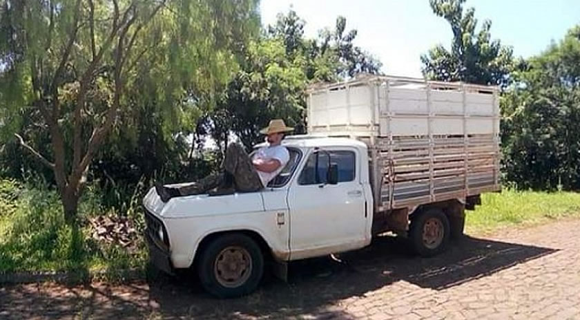 Ladrões furtam caminhonete em São Miguel do Oeste e proprietário pede ajuda para localizar veículo