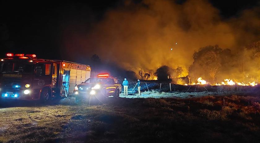 Incêndio criminoso destrói plantação de trigo