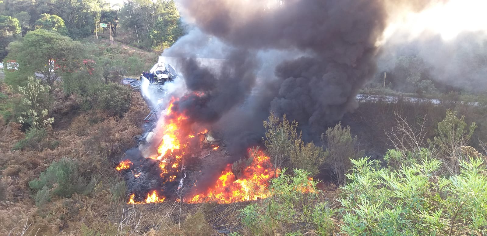 'Motorista teria desviado de buraco', diz testemunha de tragédia na BR-282