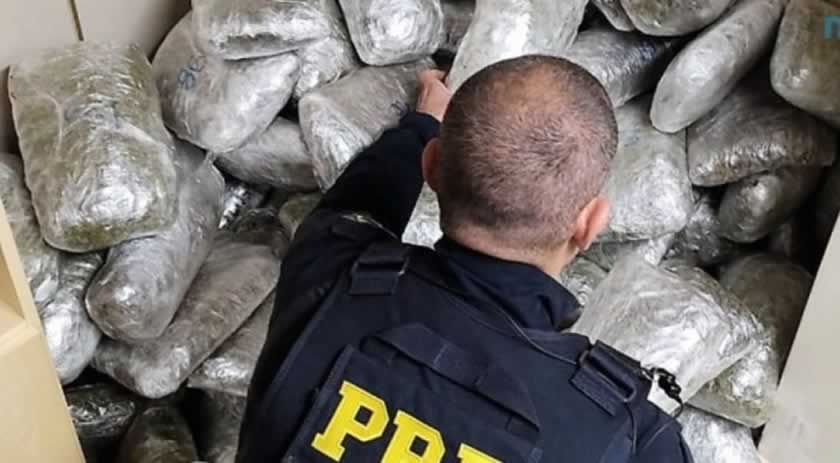 60kg de ‘super maconha’ são encontrados em fundo falso de caminhão em SC