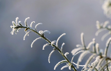 Ciclone em alto-mar causa ventos de até 80 km/h e mantém frio em SC