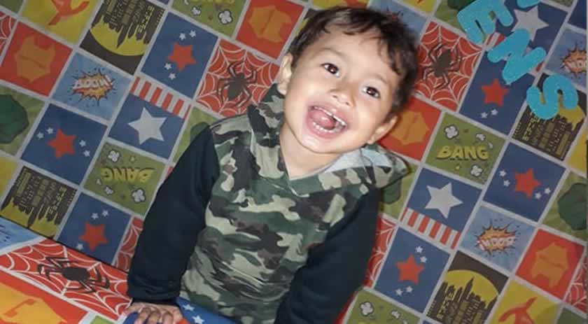 Menino de dois anos morre após ser picado por inseto em SC
