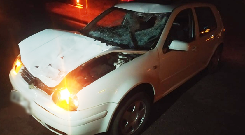 Homem fica ferido após colidir automóvel em uma vaca na BR163