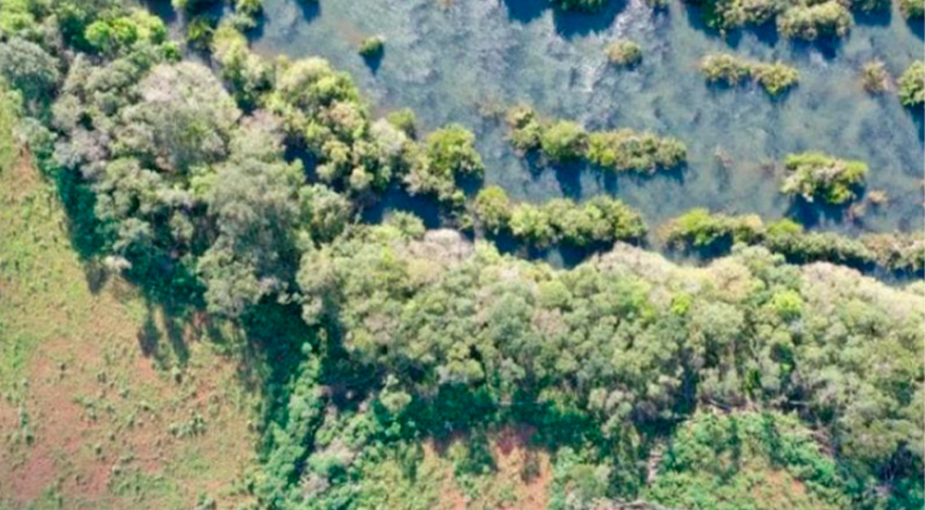 Alesc começa debater a revisão do Código Ambiental do Estado