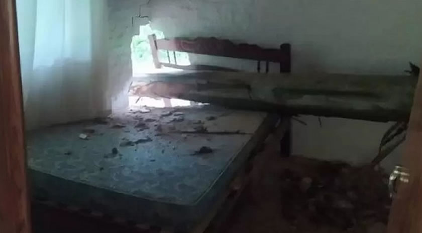 Árvore de quase 50 metros cai e atravessa casa em Santa Catarina