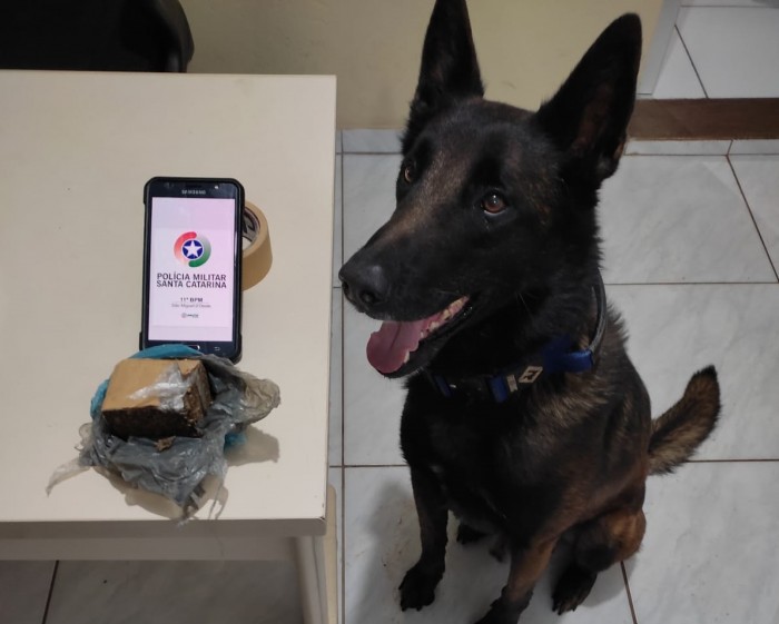 Polícia encontra drogas em meio a mata